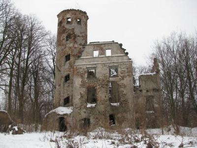 Ruiny Pałacu - Jędzychowice