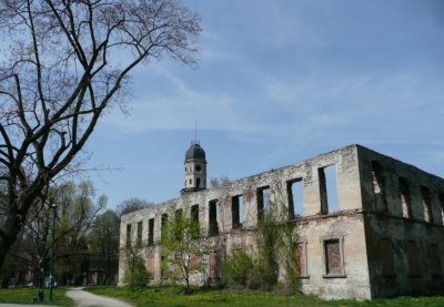 Ruiny Pałacu w Strzelcach Opolskich