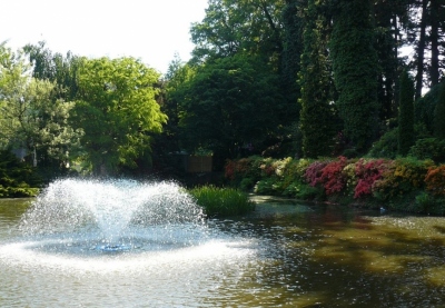 Arboretum w Wojsławicach