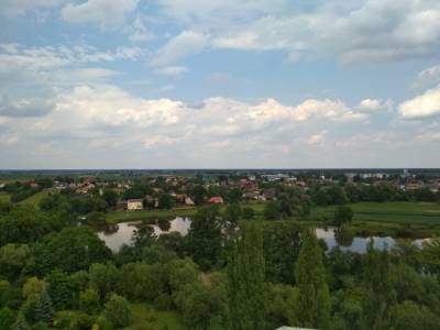 Wieża widokowa w Kotowicach
