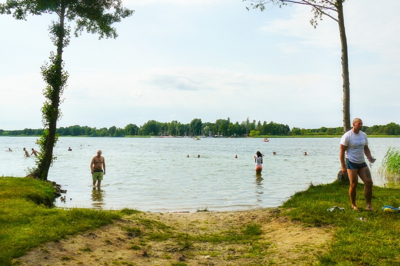 Jezioro Dominickie - Boszkowo