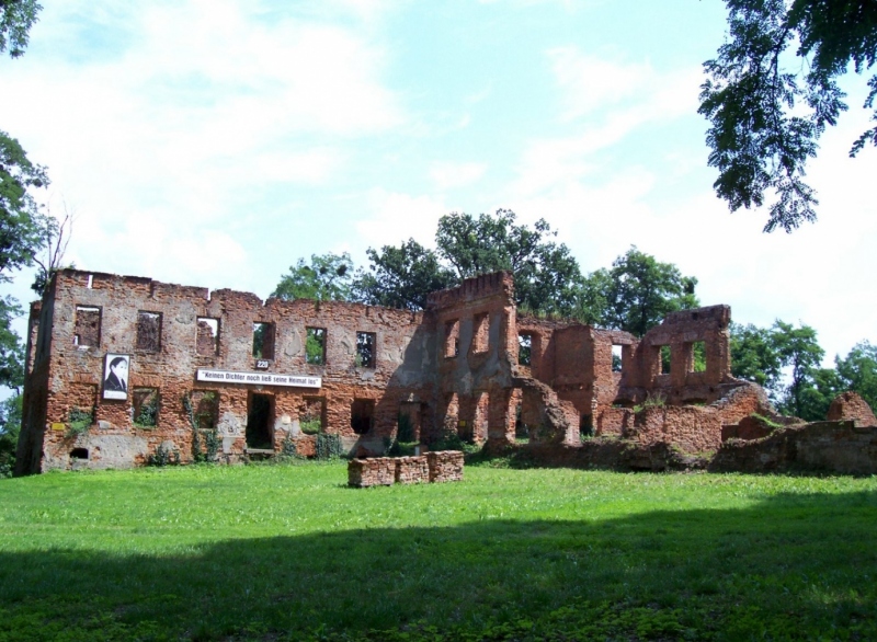 Ruiny Pałacu - Łubowice