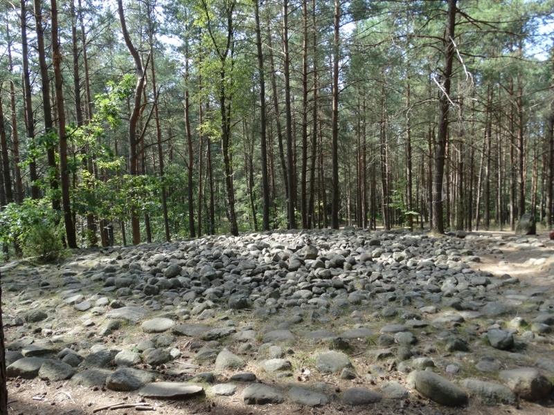 Rezerwat Kamienne Kręgi