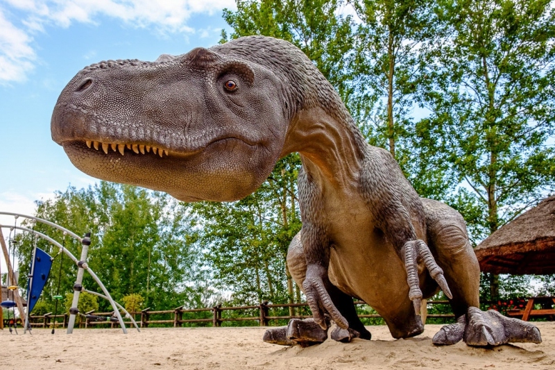 Park Dinozaurów - Krasiejów