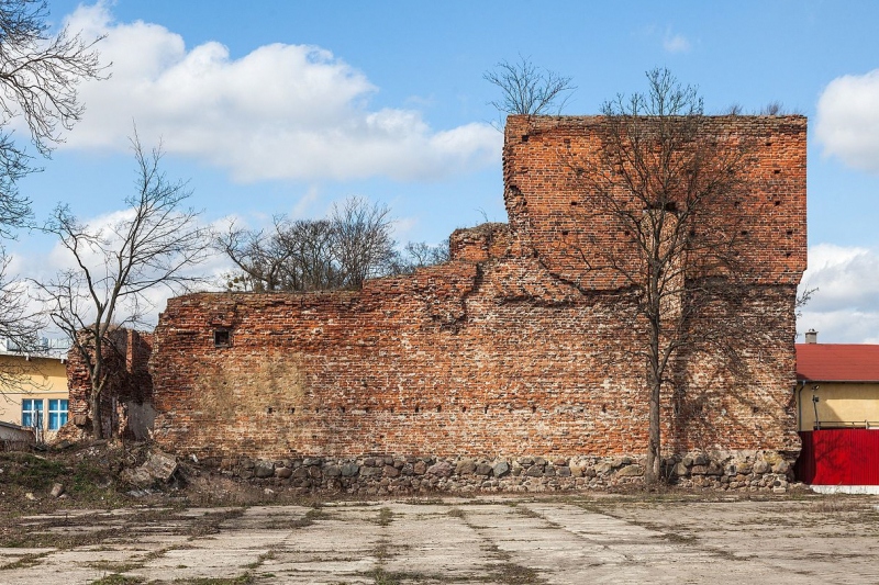Zamek w Radzikach Dużych - ruiny.