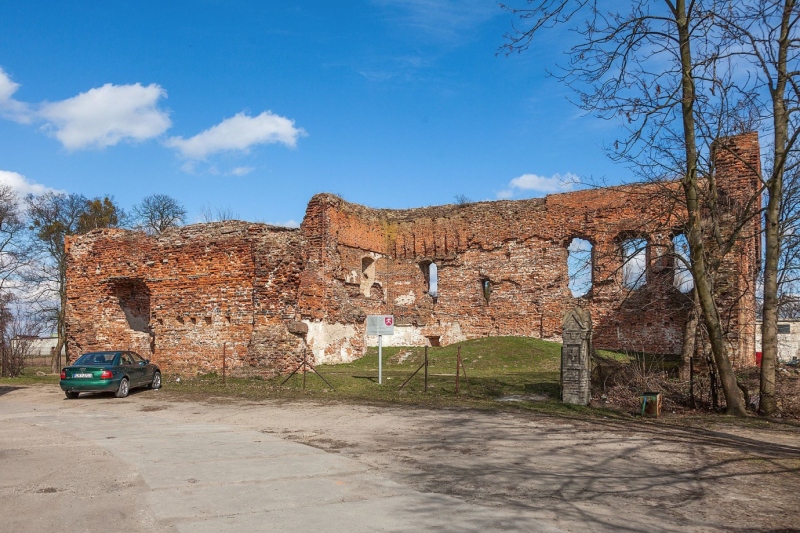 Zamek w Radzikach Dużych - ruiny.