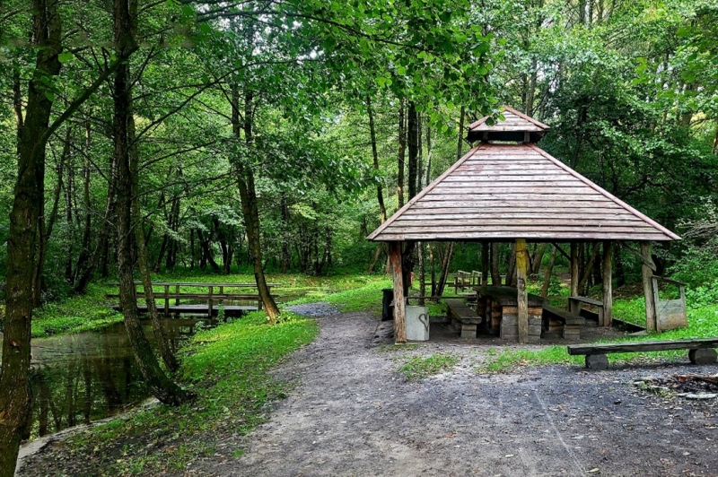 Źródlisko w Łanach