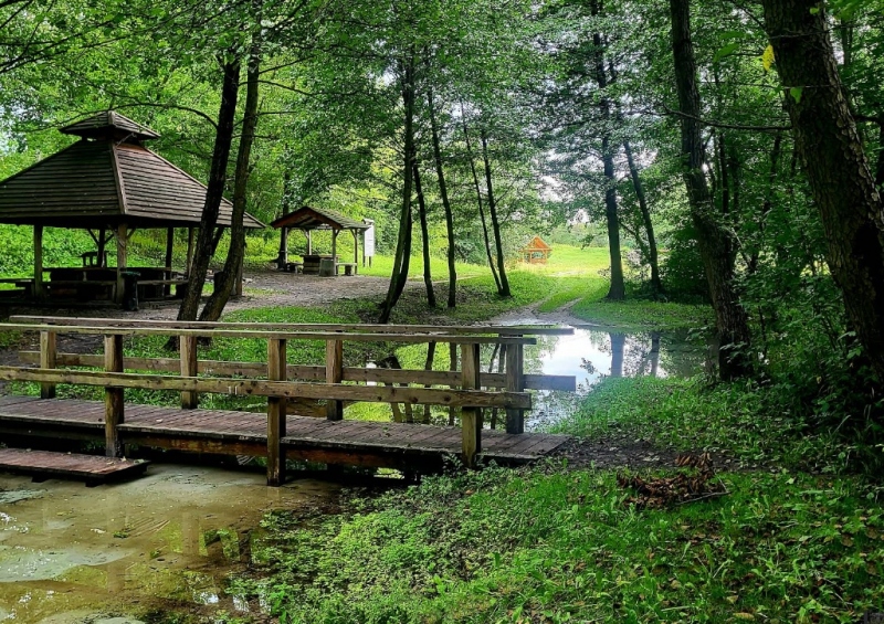 Źródlisko w Łanach