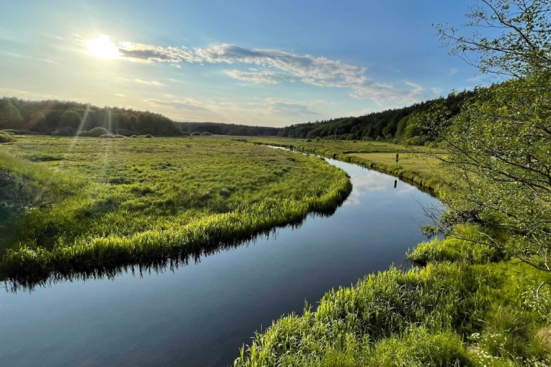 Garbaty Most i miejsce pikniku.