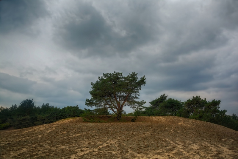 Użytek Ekologiczny CYPEL.