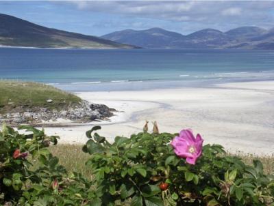 Seilebost Beach - Wielka Brytania