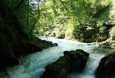 Wąwóz Vintgar, Słowenia