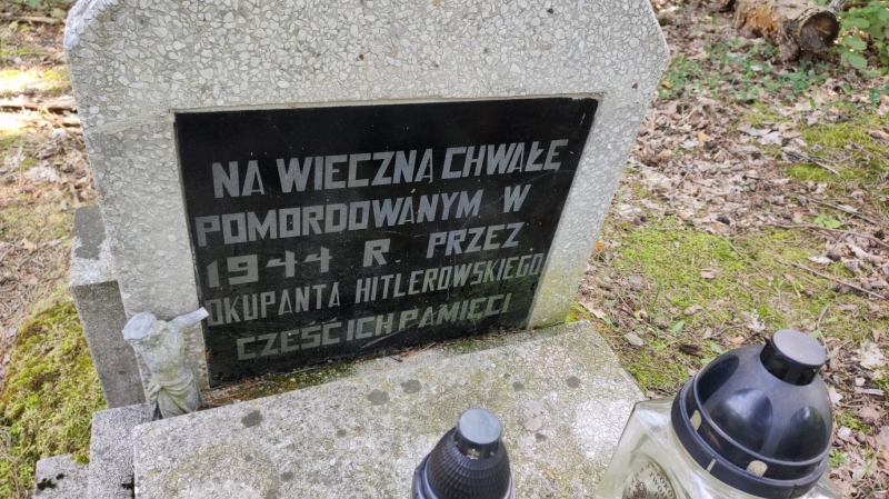 Opis zdjęcia 1