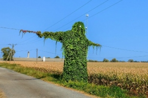 Buka z Krobusza