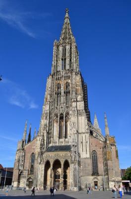 Katedra w ULM