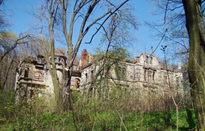 Ruiny Pałacu - Wierbka