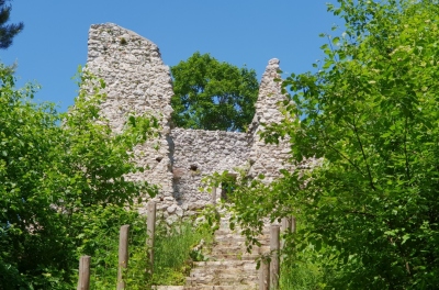 Zamek w Bydlinie