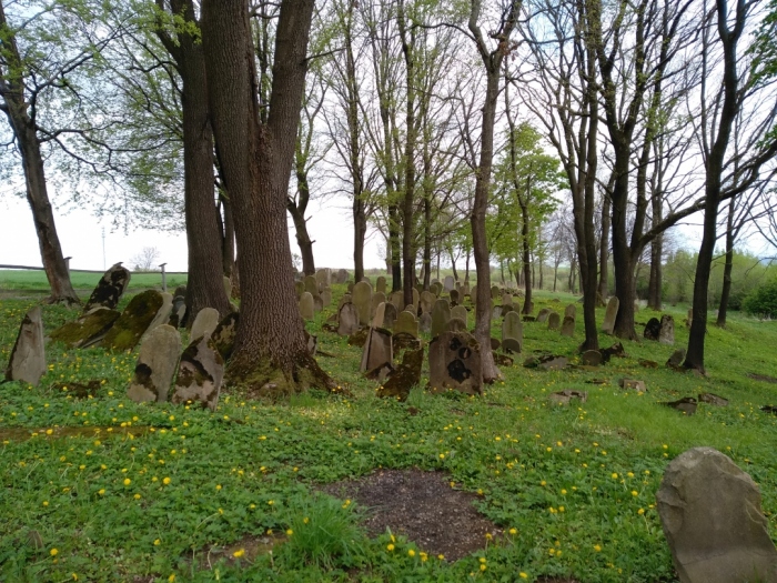 Opuszczony cmentarz żydowski