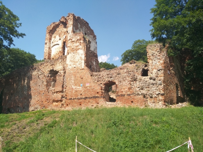 Ruiny zamku kasztelańskiego