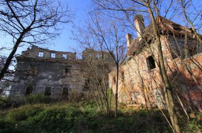 Dziewin - Ruiny Pałacu