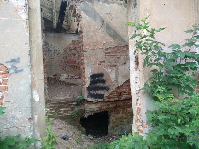 Ruiny pałacu w Moszczenicy