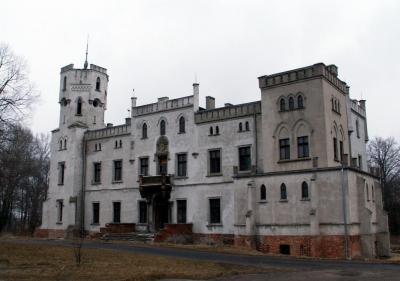 Pałac Drwalewice