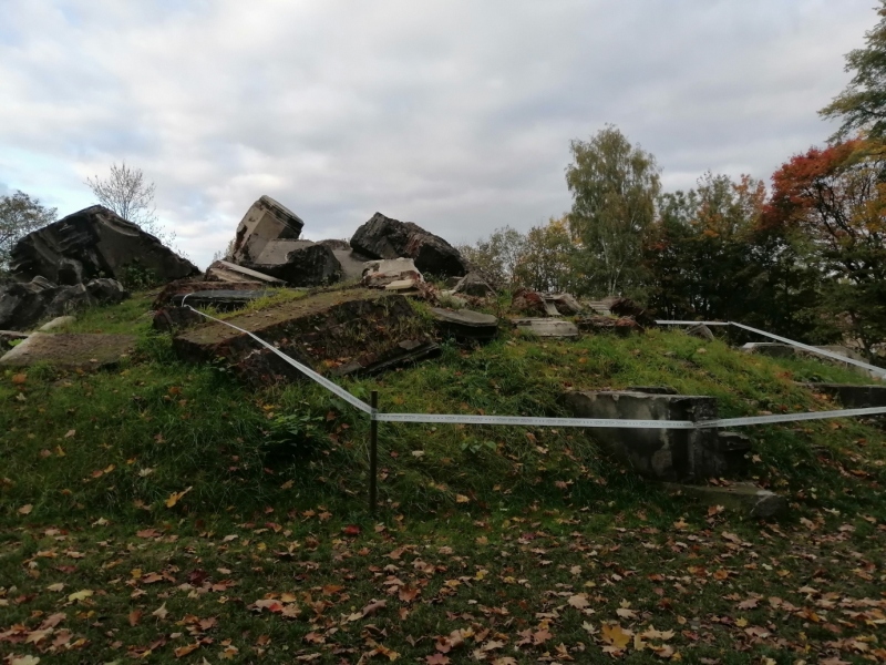 Ruiny Pałacu Tiele-Wincklerów w Miechowicach
