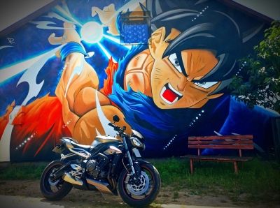 Mural Dragonball Songoku