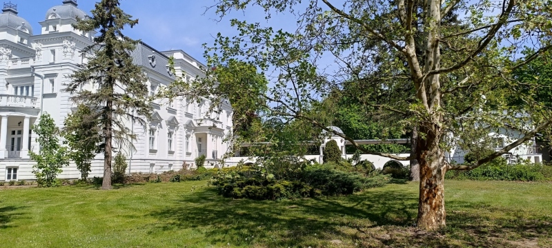 Pałac w Teresinie