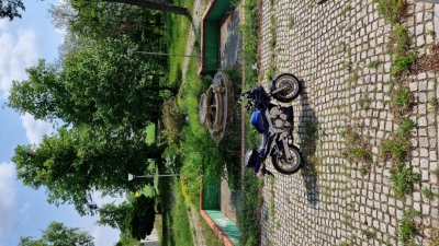 Pałac Podrzewie