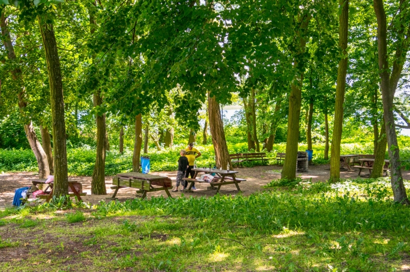 Plaża gminna.