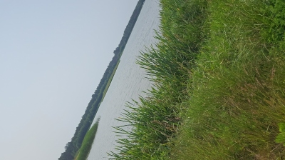 Kurpiowska Kraina- Wykrot 