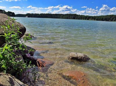 Jezioro Wdzyckie
