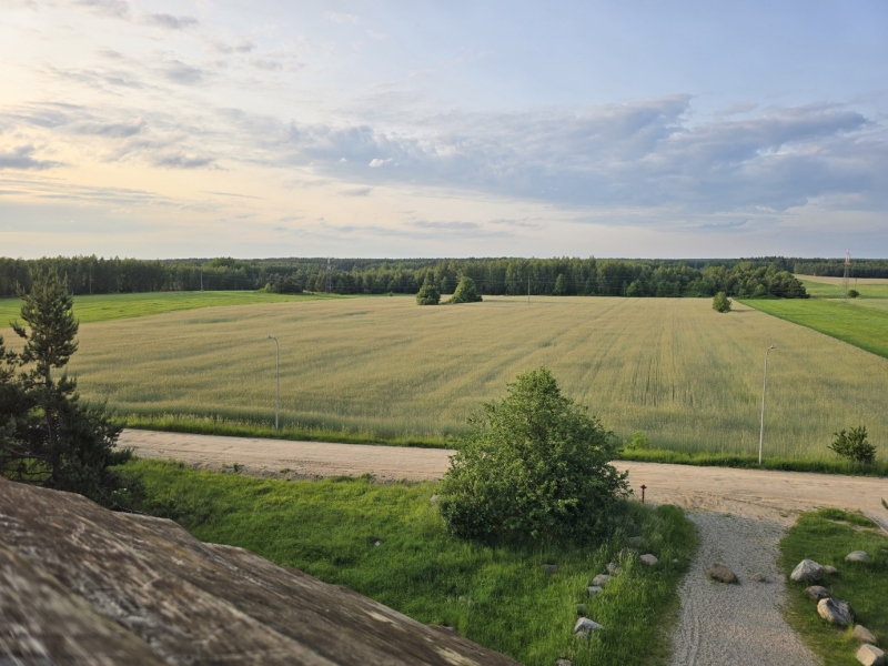 Wieża widokowa