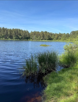 Jezioro Piaśnickie