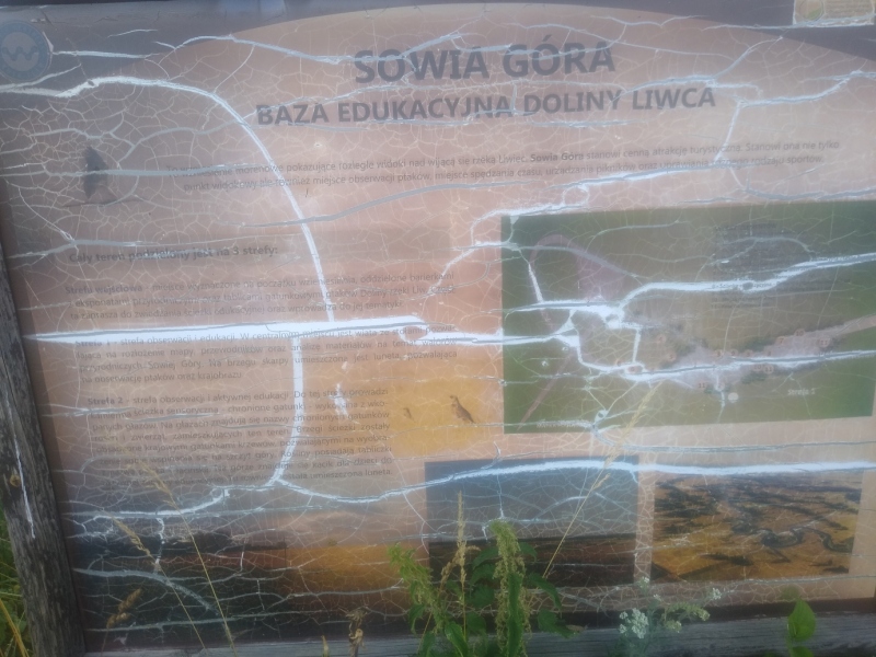 Sowia Góra