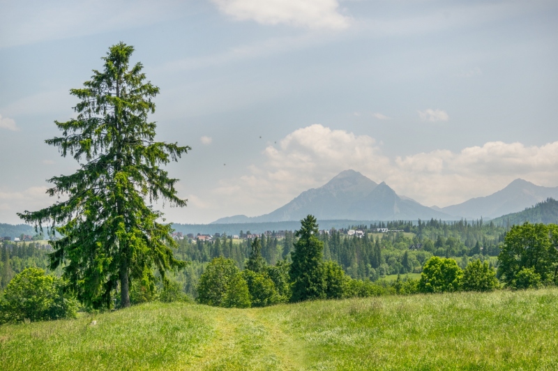 Punkt widokowy na Tatry