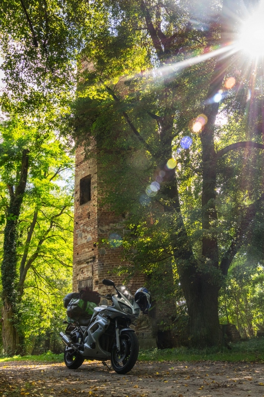 Ruiny zamku Grodzieckich w Wyszynie