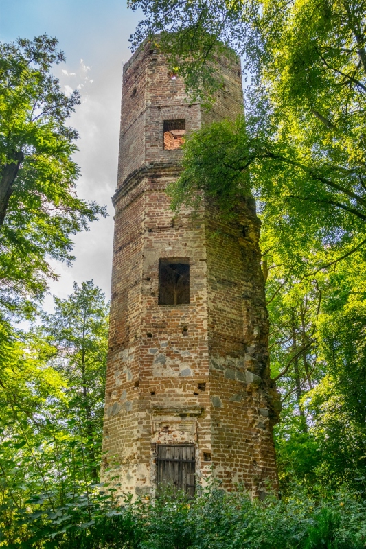 Ruiny zamku Grodzieckich w Wyszynie