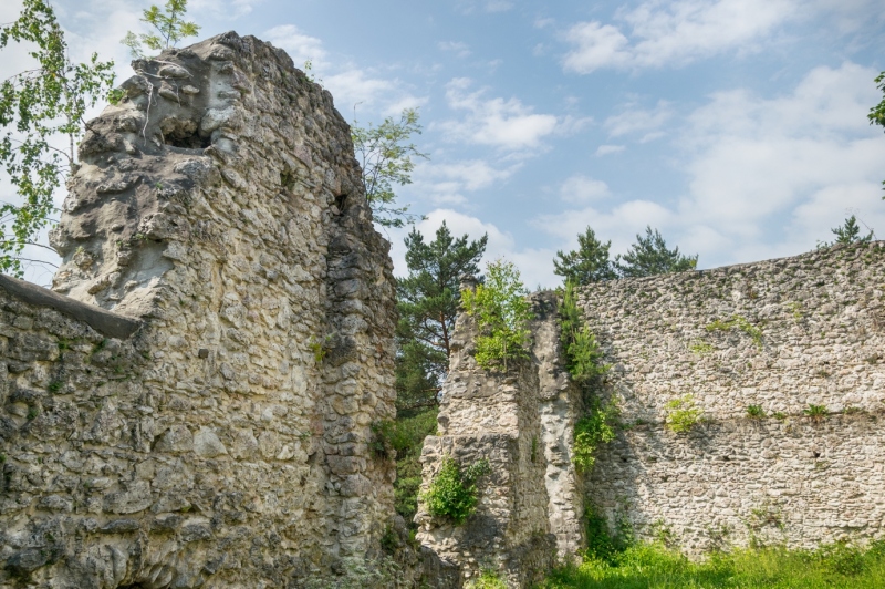 Zamek w Bydlinie