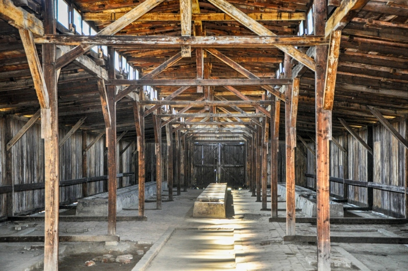 Obóz koncentracyjny Birkenau II