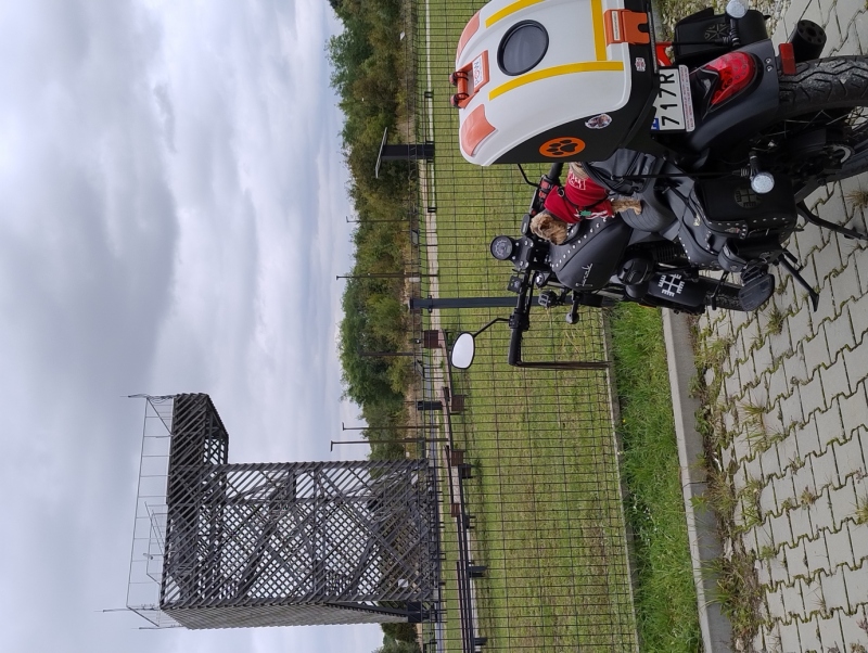 Wieża widokowa na Górze siewierskiej 