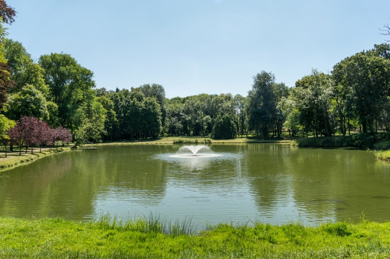 Pałac w Gułtowach.