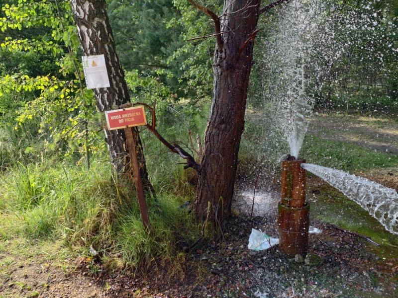 Dawny odwiert górniczy w Laskach