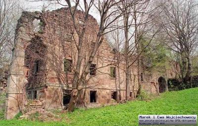Ruiny dworu w Niemojowie