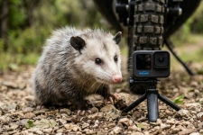 Montowanie filmów  motocyklowych proste jak nigdy: Ten trik od Moto Opinie sprawi, że w końcu wykorzystasz swoją kamerę!